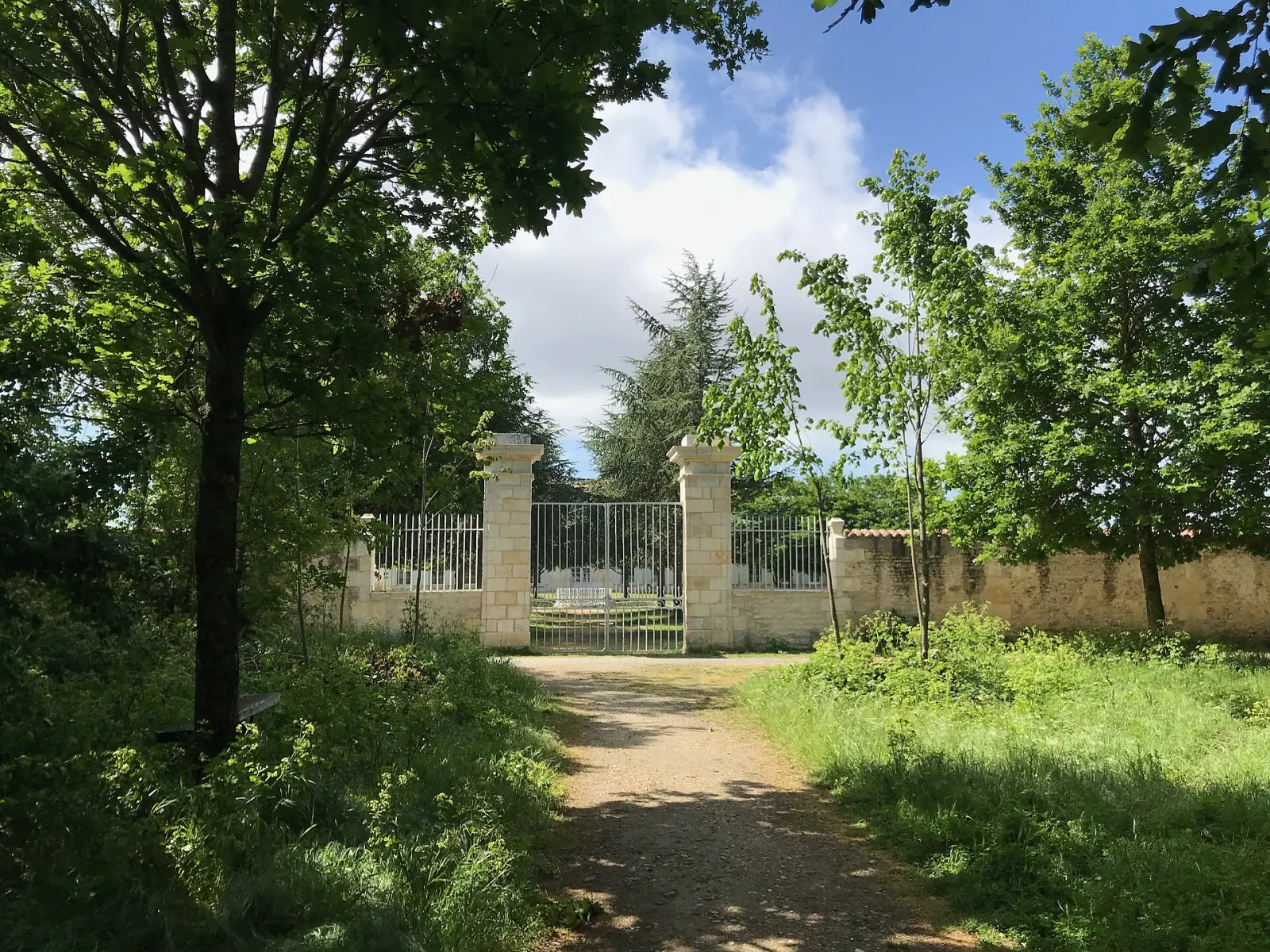 Un chemin dans le bois de la Tourtillère
