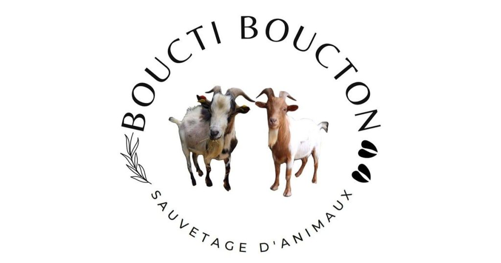 Boucti Boucton