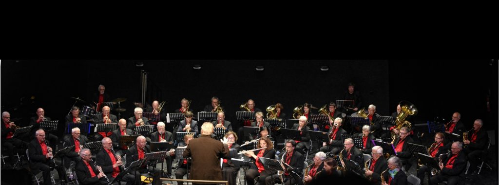 Orchestre de l’Harmonie Sainte Cécile de Puilboreau en concert